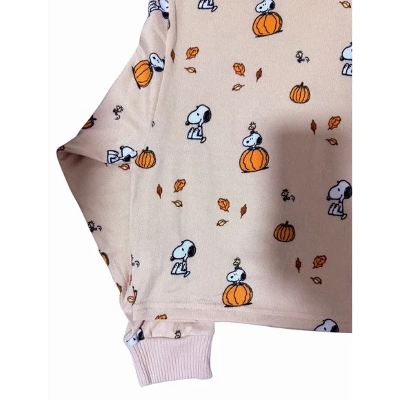 American Eagle Peanuts Fall Pumpkin Snoopy Plush Pajama Set Women's Size Large - Picture 6 of 16